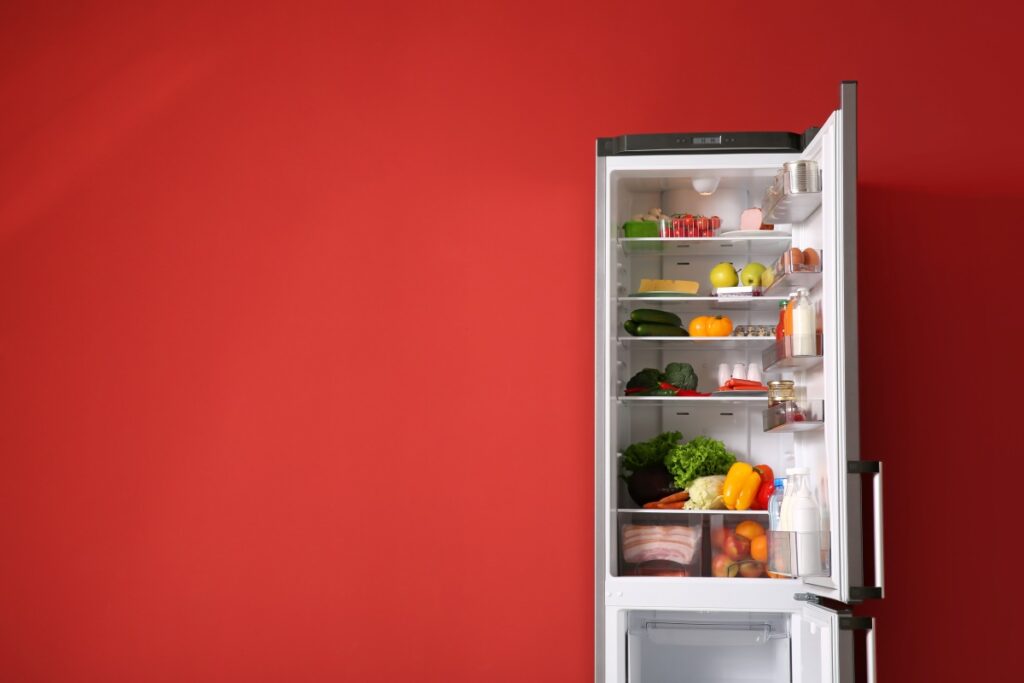 Freistehender Kühlschrank Ideen